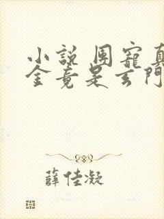 小说 团宠真千金竟是玄门大佬