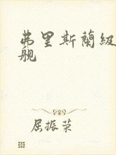 弗里斯兰级驱逐舰