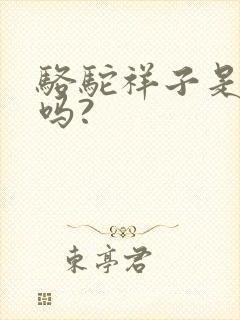 骆驼祥子是小说吗?