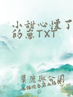小甜心怀了竹马的崽TXT