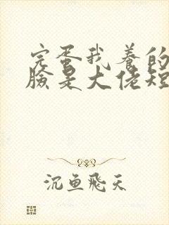 完蛋我养的小白脸是大佬短剧在哪里看