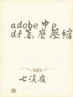 adobe中pdf怎么压缩文件大小