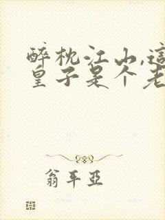 醉枕江山,这个皇子是个老六