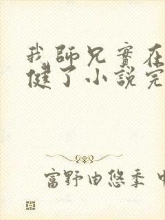 我师兄实在太稳健了小说完整