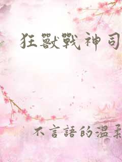 狂兽战神司空靖