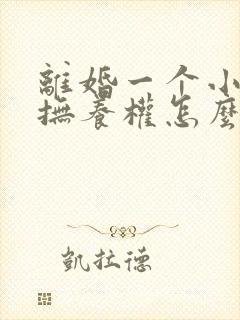 离婚一个小孩子抚养权怎么判定