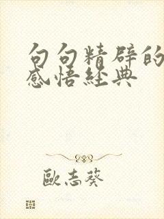 句句精辟的人生感悟经典
