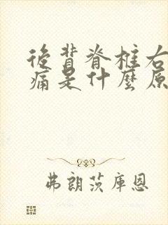 后背脊椎右边疼痛是什么原因