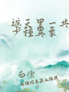 遮天里一共有多少种异象