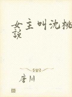 女主叫沈桃的小说