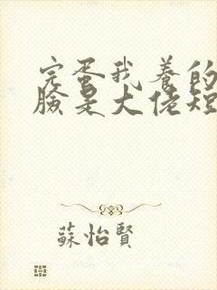 完蛋我养的小白脸是大佬短剧全集免费版