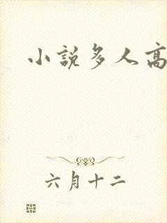 小说多人高h
