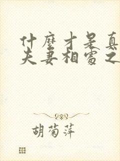 什么才是真正的夫妻相处之道