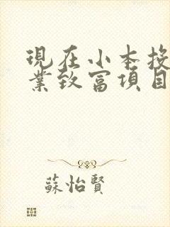 现在小本投资创业致富项目有哪些