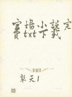 官场小说完本免费txt下载