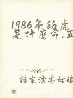 1986年的虎是什么命,五行属性