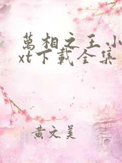 万相之王小说txt下载全集