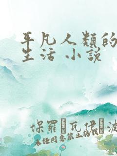 平凡人类的平常生活 小说
