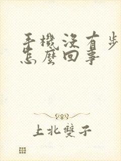 手机没有步数了怎么回事