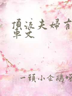 顶流夫妇有点甜车文