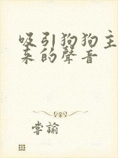 吸引狗狗主动过来的声音