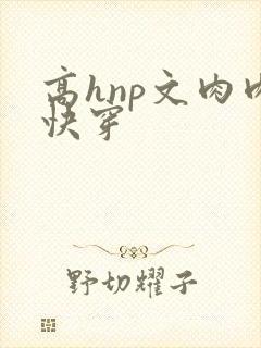 高hnp文肉肉快穿