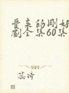 爱来的刚好电视剧全集60集