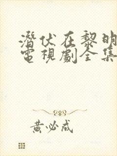 潜伏在黎明之前电视剧全集免费观看