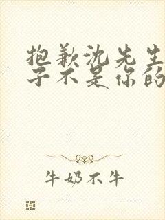 抱歉沈先生,孩子不是你的短剧全集在线观看