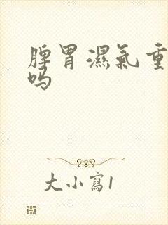 脾胃湿气重严重吗