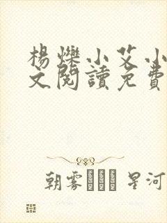 杨烁小艾小说全文阅读免费