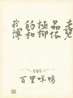 我的极品老师王博和柳依儿的小说
