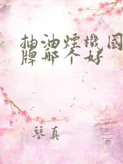 抽油烟机国内品牌哪个好