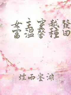 女主穿越发家致富温馨种田文