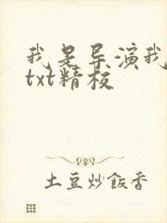 我是导演我不比txt精校