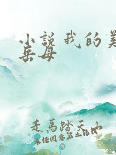小说 我的美艳岳母