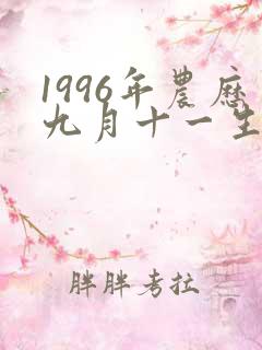 1996年农历九月十一生辰八字