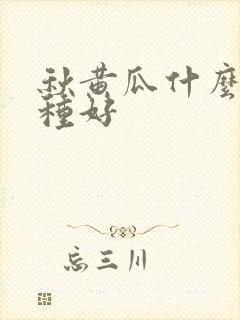 秋黄瓜什么时候种好