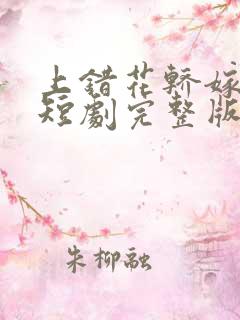 上错花轿嫁王爷短剧完整版
