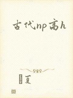 古代np高h