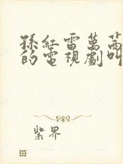 孙红雷万茜主演的电视剧叫什么
