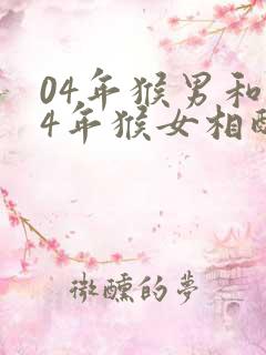 04年猴男和04年猴女相配吗