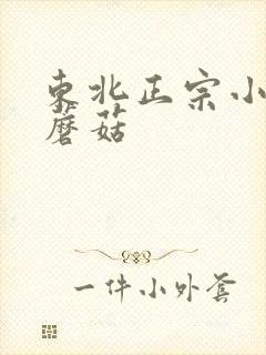 东北正宗小鸡炖蘑菇