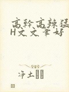 高干高辣猛高辣H文文笔好