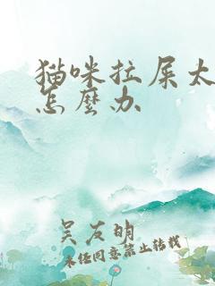 猫咪拉屎太干了怎么办