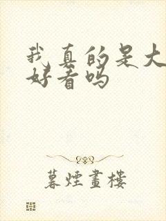 我真的是大明星好看吗