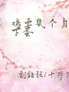 鸡要几个月才会下蛋