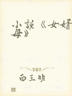 小说《女婿与岳母》