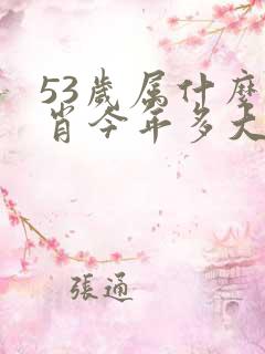 53岁属什么生肖今年多大了