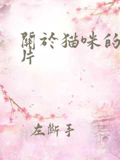 关于猫咪的动画片